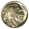 Buffalo Nickels